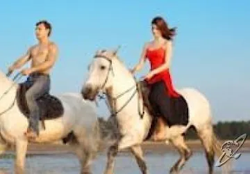 Отель Majestic & Wellness 4*